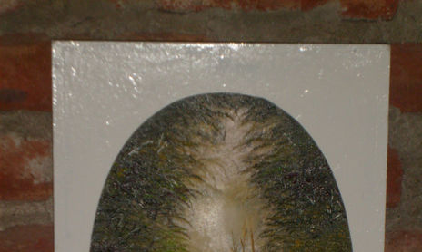 cecyteg