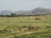 Trabajar en el campo