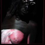 FLAMINGO thumbnail 1