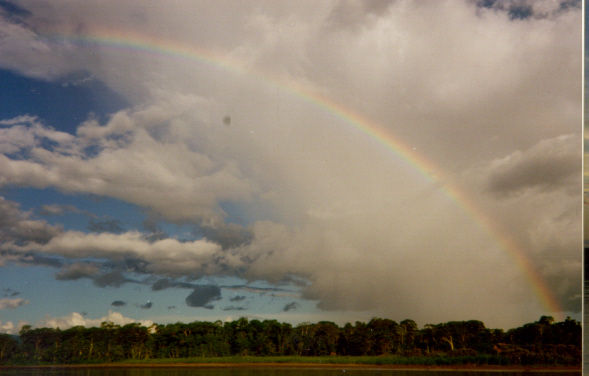 Arco iris Nature Alternative techniques