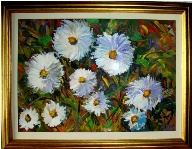 Margaritas primaverales