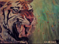 Tigre