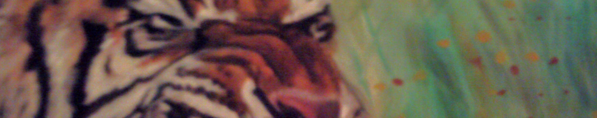 Imagen de portada