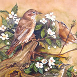 FAUNA thumbnail 2