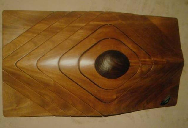 TRANSFORMACION OVAL Wood Abstract