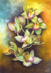 Bouquet de Orquideas