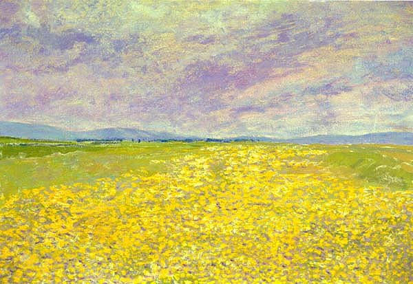 Campo de flores amarillas