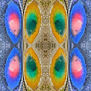 mejillones a partir de la morning glory de yellowstone