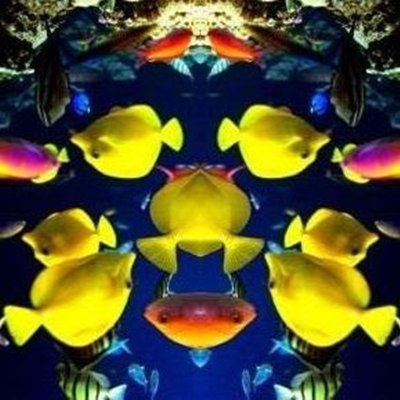 De los peces miracle