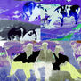 negative