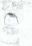 dibujo 5