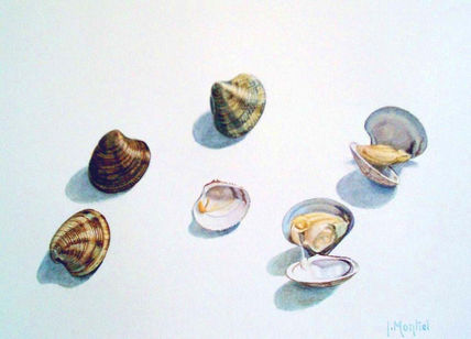 Almejas