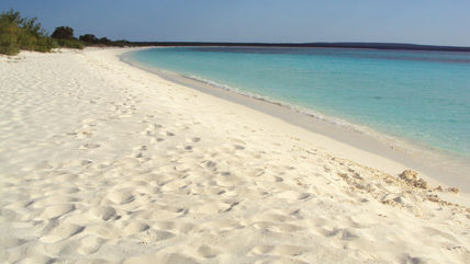 Bahia de las...