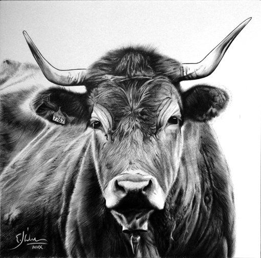 Vaca Oca Ink