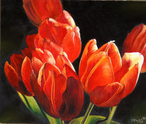 Tulipanes rojos