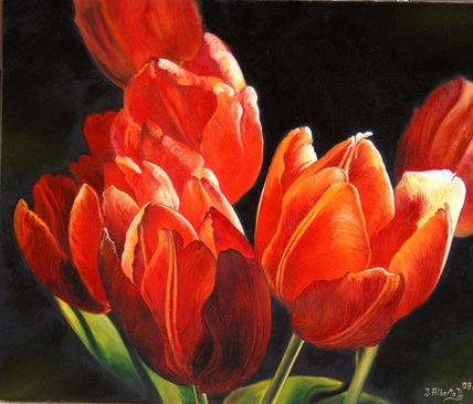 Tulipanes rojos