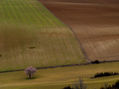 Paisaje en Arrés