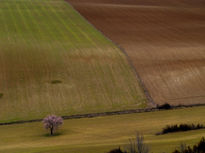 Paisaje en Arrés