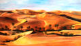 17-Desierto