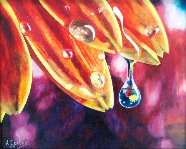 23-Gotas