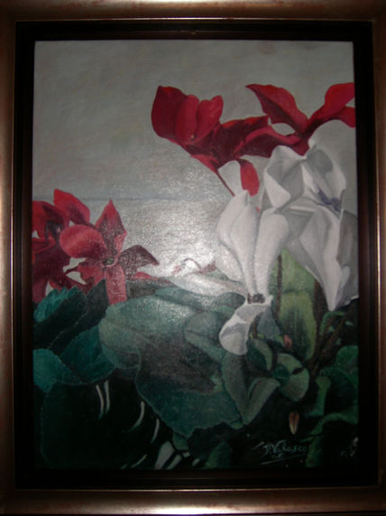 Ciclamenes