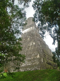 Descubriendo TIKAL