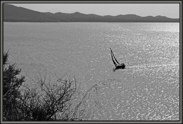 Navegando Nature Black and White (Digital)