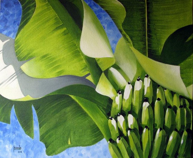 Bananos Oil Canvas Landscaping