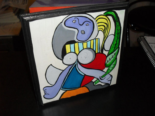 caja picasso