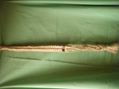 CORREA RECOGEDORA