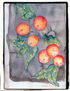 NARANJAS