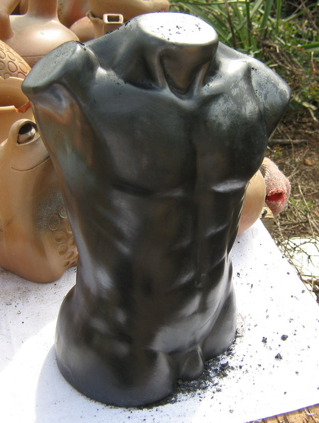 torso