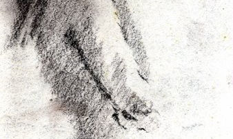 CROQUIS