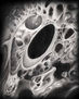 universo en mutacion 1