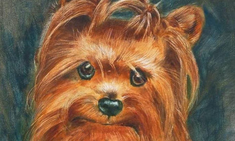 Óleo