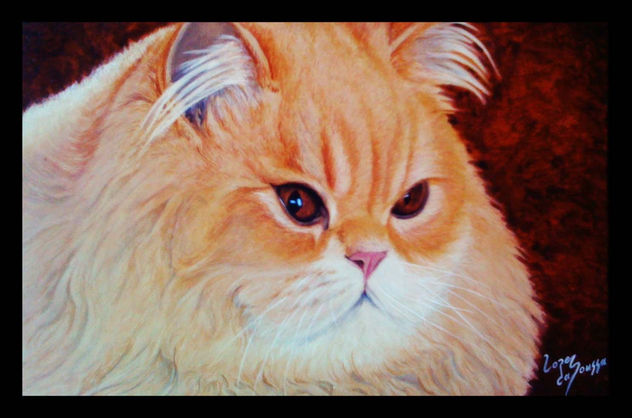 Retrato Gato