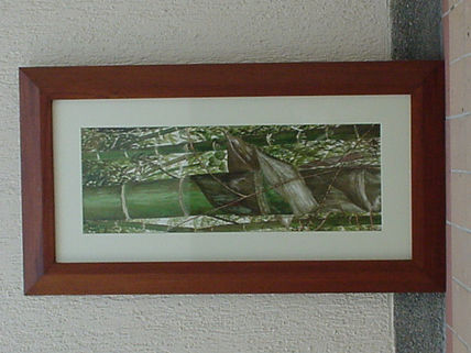 Guadua 1