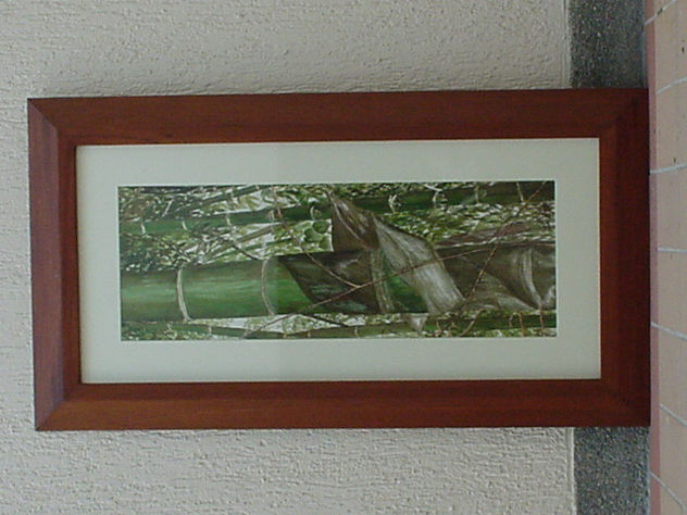 guadua 1