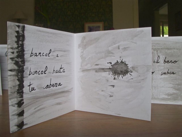 libro 4º