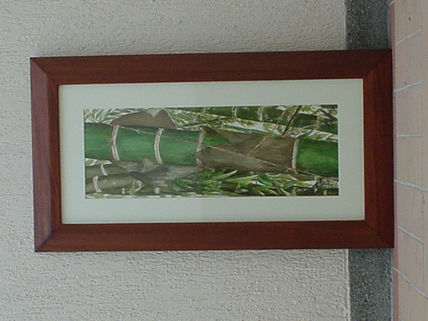 Guadua 2