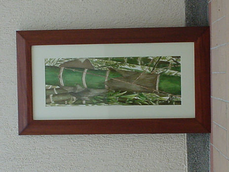 Guadua 2