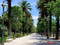 Málaga paseo El Parque