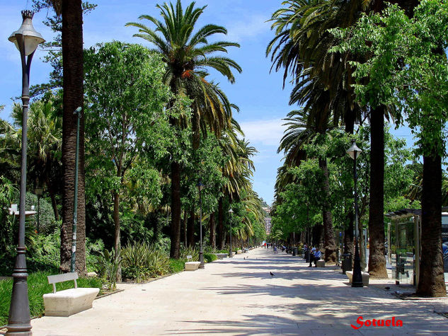 Málaga paseo El Parque Nature Color (Digital)