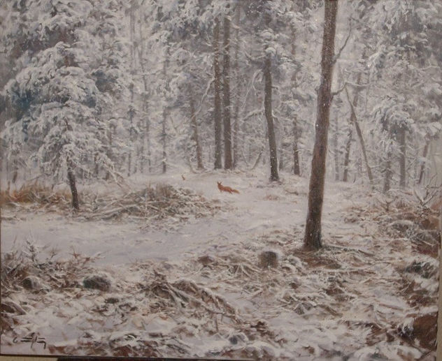 bosque nevado