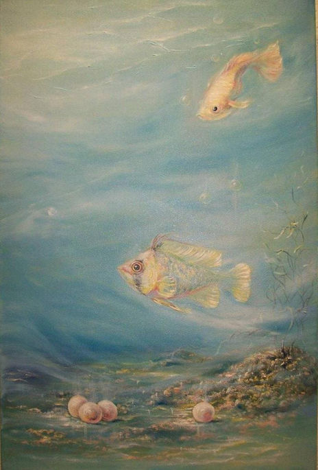 Acuarium 3