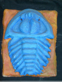 Trilobite