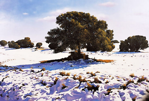 " las primeras nieves...." Oil Canvas Landscaping