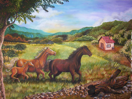 Campo caballo de tarde