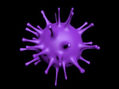 virus