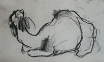 Camello
